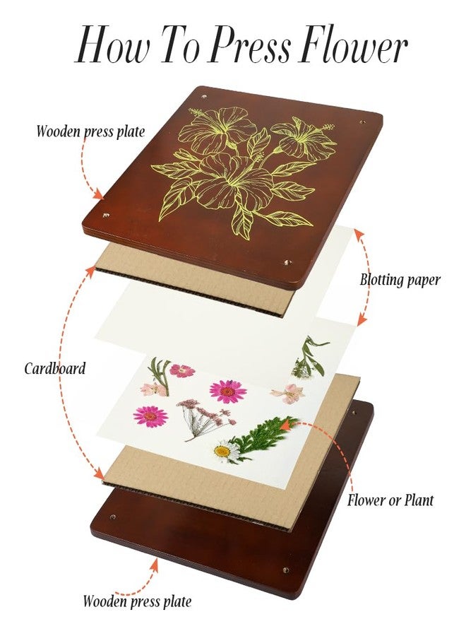 Vindar Extra Large Flower Press Kit 10.8 x10.8 inches, Floral Preservation Kit, DIY Arts and Craft Kit 10 Layers Plant Press and Drying Tool kit, Ideal Gift for Flower & Plant Lovers - Image 3